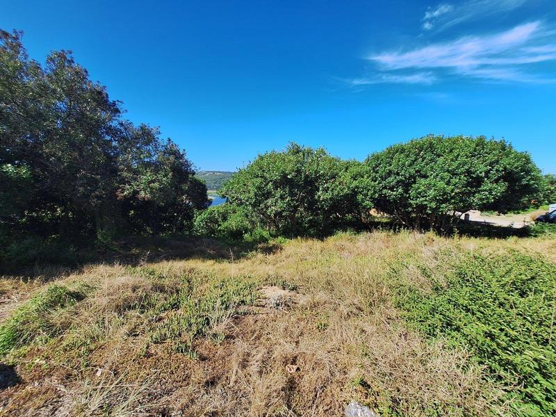0 Bedroom Property for Sale in Bergsig Western Cape